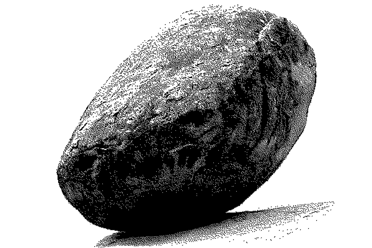 an illustration of Krishna's Butterball