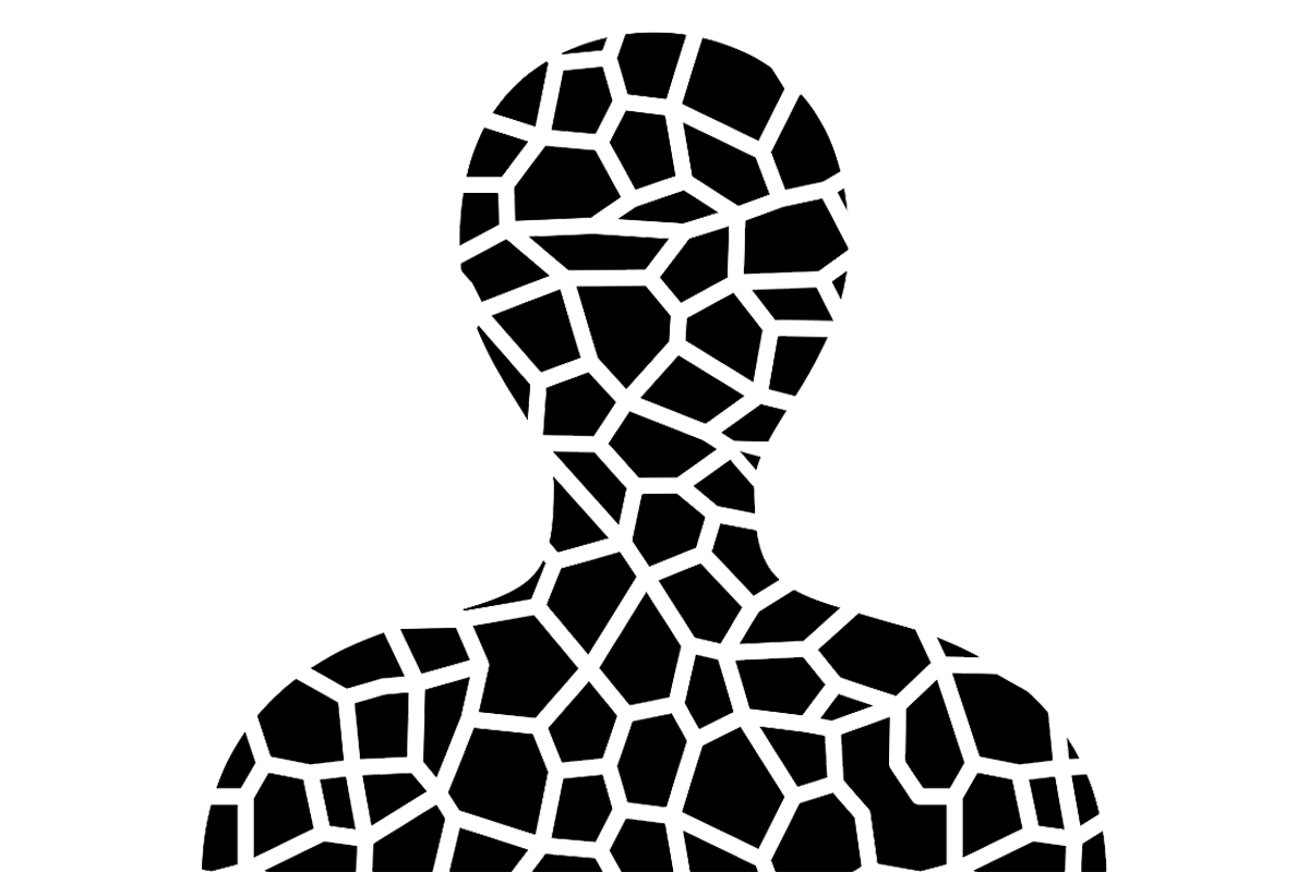 a fractured silhouette